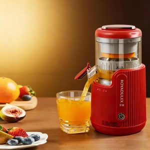 espremedor de sucos   Compacto e prático, perfeito para casa e viagens
